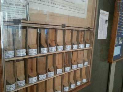 Una cassetta didattica del ventennio fascista contenente 30 tipologie di legnetti